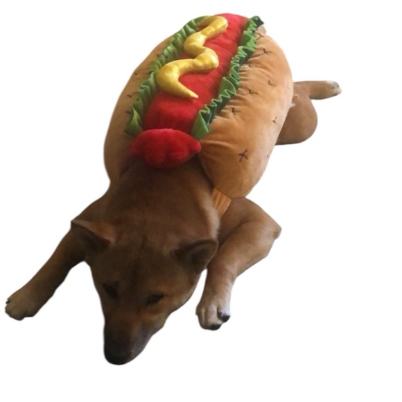 Red and Yellow Dog Clothing Accessory Costume - Picture 1 of 8